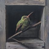 GreenSongbird_LucindaHolland